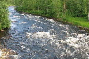 Сплав по реке Кереть с выходом в Белое море «ТO SEE THE RIVER» 3 дня/ 2 ночи 2026г.
